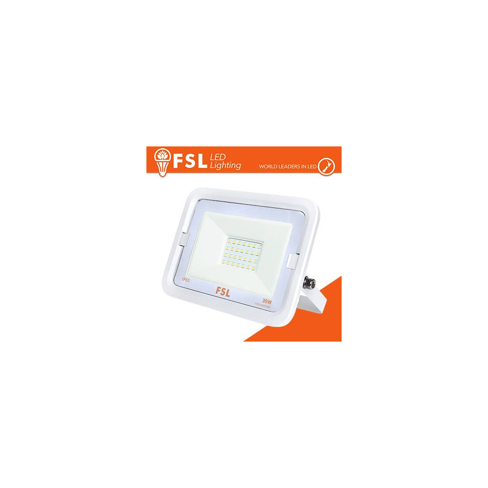 Proiettore per esterni Bianco 30W - IP65 115° 4000K Proiettore per esterni Bianco 30W - IP65 115° 4000K
