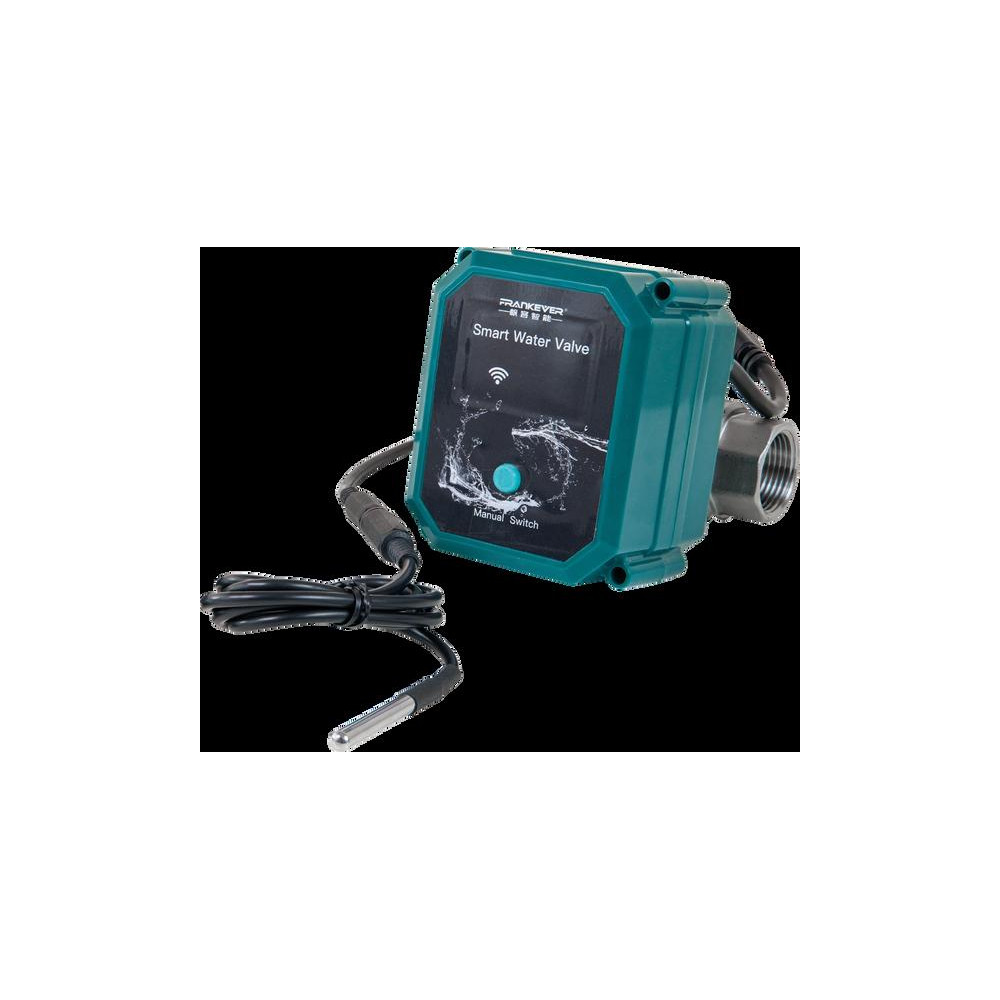 Shelly FrankEver Valvola intelligente per acqua DN25