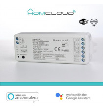 Ricevitore DIM +pulsante 12/36V DC,2CH*5A, Wi-Fi+RF 2.4G CCT