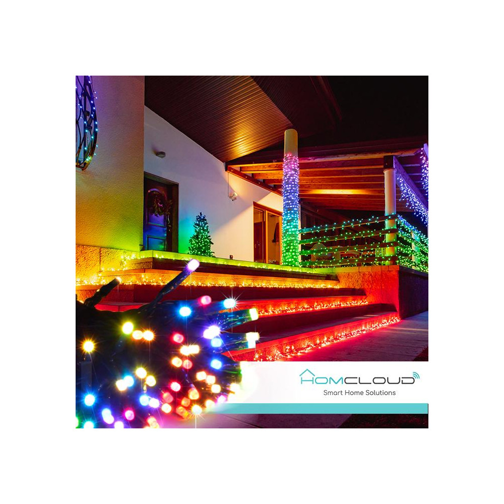 Stringa di 200 Luci decorative Smart a Led RGB-IC Wi-Fi+Bluetooth 20M