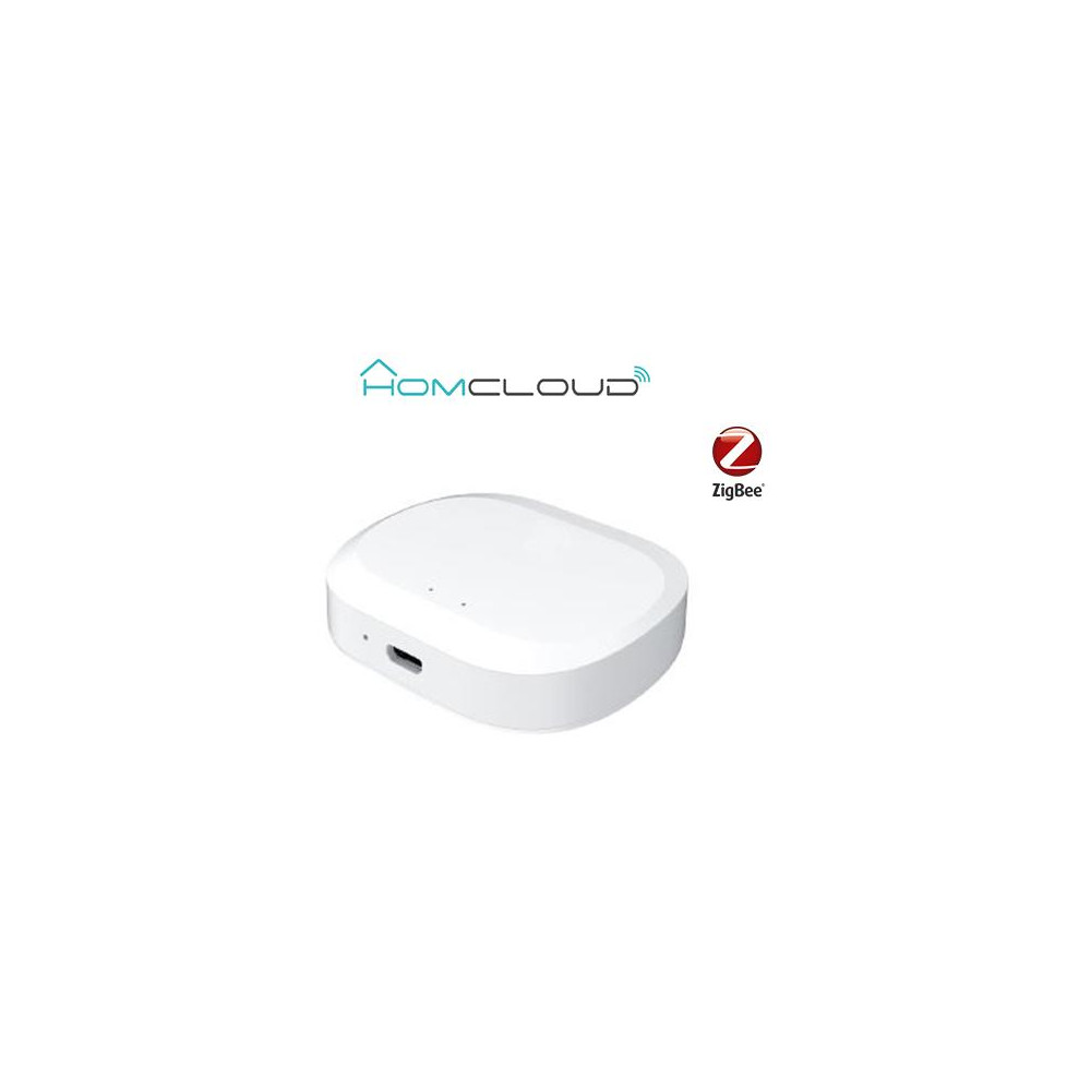 Centralina intelligente Hub - Zigbee+Bluetooth Centralina intelligente Hub - Zigbee+Bluetooth