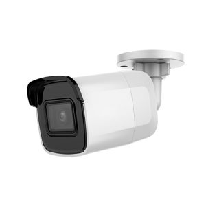 VIDEOREGISTRATORI IP (NVR)