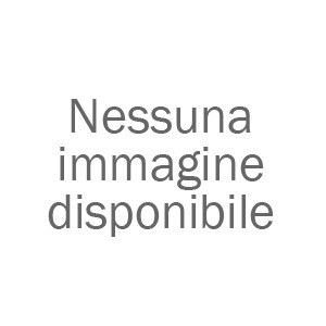 STAMPANTI INKJET
